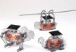 Solar Power Animal Robot Set