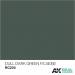 Real Colors Acrylic Lacquer Paint 10ml Dull Dark Green FS34092