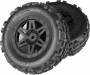 Sand Scorpion DB XL Tire/Wheel Glued Blk Fr (2)