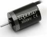 Reedy Micro Motor 9500kV