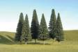 Scenescapes Pine Trees 5-6