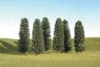 Scenescapes Cedar Trees 5-6
