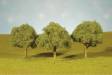 Scenescapes Oak Trees 3-3.5