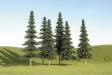 Scenescapes Spruce Trees 3-4