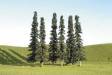 Scenescapes Conifer Trees 5-6
