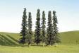Scenescapes Conifer Trees 8-10