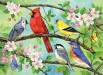350pc Puzzle Bloomin' Birds (Family)