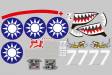 Decal 980mm P-40B