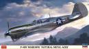 1/48 P-40N Warhawk 'Natural Metal Aces' Propeller Plane