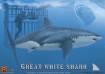1/18 The Great White Shark