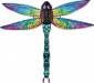 3-D Dragonfly Rainbow