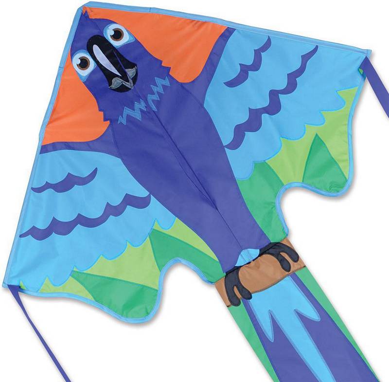 Premier Kites Googly Kitty Easy Flyer 