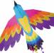 Bird Kite Paradise 70