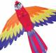 Macaw Kite 70