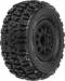 Trencher X SC 2.2/3.0 M2 Tires Mounted Renegade