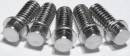 RC4WD Miniature Scale Hex Bolts  (M2 x 5mm) (Silve