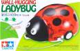 Wall-Hugging Ladybug