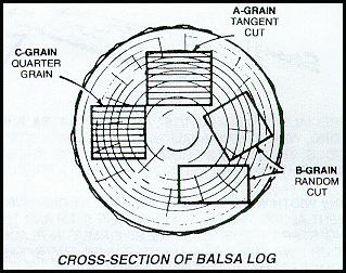 Cross Section of Balsa Log