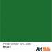 Real Colors Acrylic Lacquer Paint 10ml Pure Green