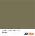 Real Colors Acrylic Lacquer Paint 10ml Grey RAL7003 RLM02
