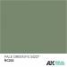 Real Colors Acrylic Lacquer Paint 10ml Pale Green FS34227