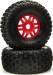 Dboots 'Fortress' Tire Set Glued Red (2)