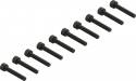 Cap Head Screw M2.5x16mm (10)