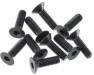 Flat Head Screw 3x10mm (10)