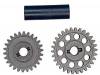 Fwd Rev Drive Gears MGT