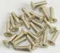 FH Phlps Screw M2x8mm (20)