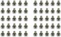 BHCS M2x4 Silver (50)