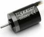 Reedy Micro Motor 5000kV