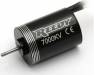 Reedy Micro Motor 7000kV