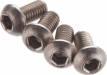 FT Titanium Screws 3X6mm BHCS (4)