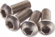 FT Titanium Screws 3X8mm BHCS (4)