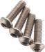 FT Titanium Screws 3X10mm BHCS (4)