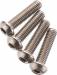 FT Titanium Screws 3X12mm BHCS (4)