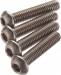 FT Titanium Screws 3X14mm BHCS (4)