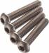 FT Titanium Screws 3X16mm BHCS (4)