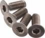 FT Titanium Screws 3X8mm FHCS (4)