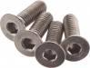 FT Titanium Screws 3X10mm FHCS (4)