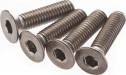 FT Titanium Screws 3X12mm FHCS (4)