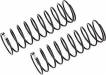 13mm Rear Shock Springs White 1.9lb/in L61