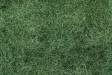 Scenescapes Foliage Fiber Dark Green