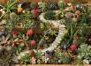 1000pc Puzzle Succulent Garden