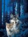 1000pc Puzzle Wolf Canyon
