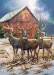 1000pc Puzzle Three Kings