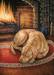 1000pc Puzzle Home Is Where the Dog Is