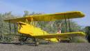 Tiger Moth LC 55