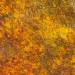 Water Soluble Paint Effects Yellow Rust 25ml
